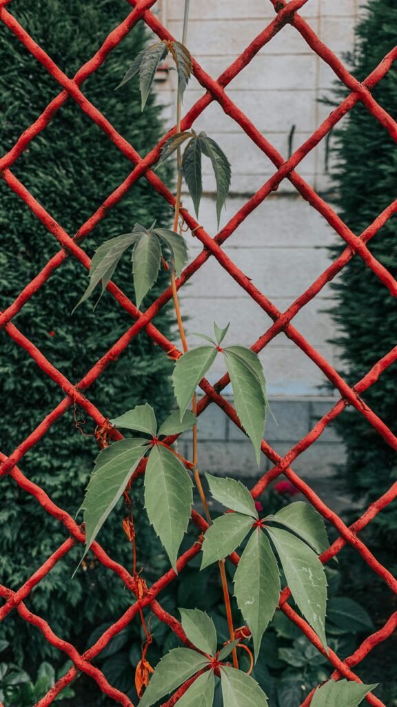Fence Repair Yorkshire