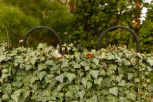 Garden Fence Repair Yorkshire
